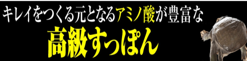 �_�C�G�b�g�T�v���y�����ۂ�X�����y�f�z���T�C�g